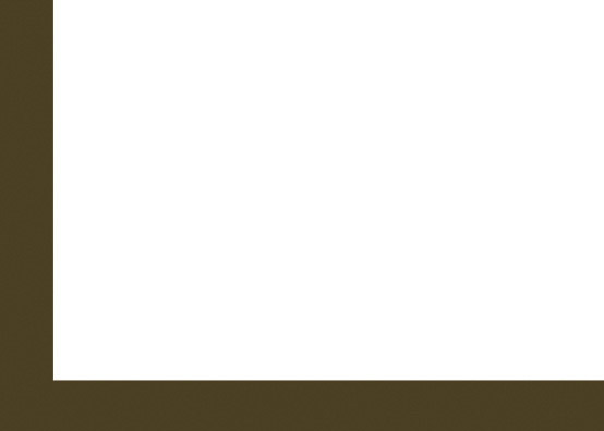 Award winning design and corporate branding consultant